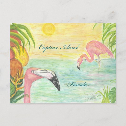 Captiva Island Flamingos Florida Art Briefkaart (Voorkant)