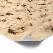 Captiva Island, Florida Poster (Hoek)