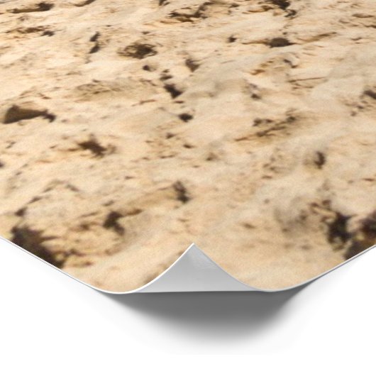 Captiva Island, Florida Poster (Hoek)