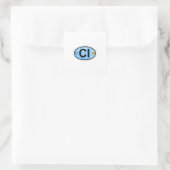 Captiva Island - Ovaal. Vierkante Sticker (Tas)