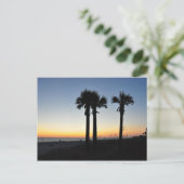 Captiva Island Palm Trees Sunset Florida Briefkaar Briefkaart (Staand voorkant)