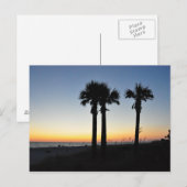 Captiva Island Palm Trees Sunset Florida Briefkaar Briefkaart (Voorkant / Achterkant)