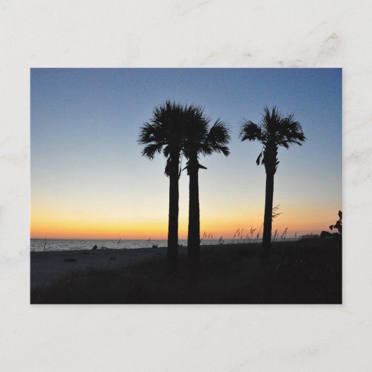 Captiva Island Palm Trees Sunset Florida Briefkaar Briefkaart (Voorkant)