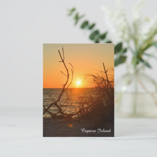 Captiva Sunset briefkaart (Staand voorkant)
