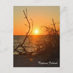 Captiva Sunset briefkaart