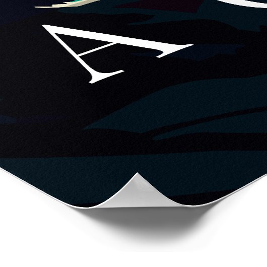 Captivating Acadia National Park Poster (Hoek)