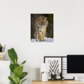 Captive, Duluth, Minnesota, VS Poster (Thuiskantoor)