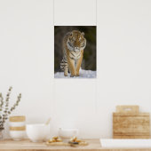 Captive, Duluth, Minnesota, VS Poster (Keuken)