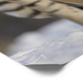 Captive, Duluth, Minnesota, VS Poster (Hoek)