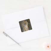 Captive, Duluth, Minnesota, VS Vierkante Sticker (Envelop)