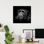 "Captive Exposure" Wildlife Chimp Artwork-portret Poster (Thuiskantoor)