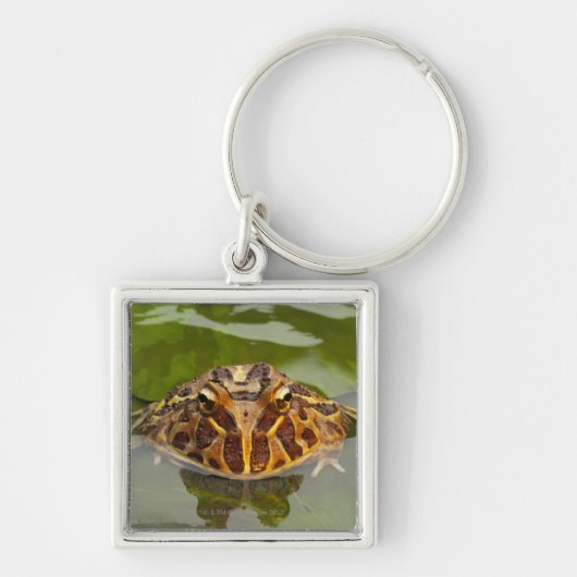 Captive, Nebraska, Verenigde Staten Sleutelhanger (Voorkant)