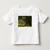 Captive Tapichalaca Tree Frog Hyloscirtus 3 Kinder Shirts (Voorkant)