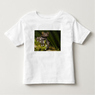 Captive Tapichalaca Tree Frog Hyloscirtus 3 Kinder Shirts