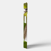 Captive Tapichalaca Tree Frog Hyloscirtus Case-Mate iPhone Case (Achterkant / Rechts)