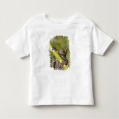 Captive Tapichalaca Tree Frog Hyloscirtus Kinder Shirts (Voorkant)