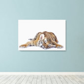 Captive, Zuid-Afrika 2 Canvas Afdruk (Insitu (Houten vloer))