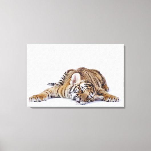 Captive, Zuid-Afrika 2 Canvas Afdruk (Voorkant)