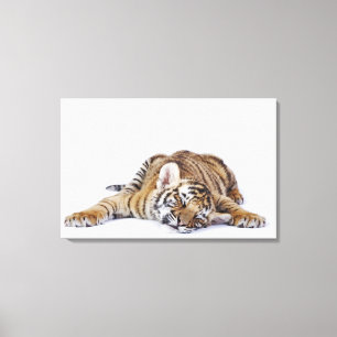 Captive, Zuid-Afrika 2 Canvas Afdruk