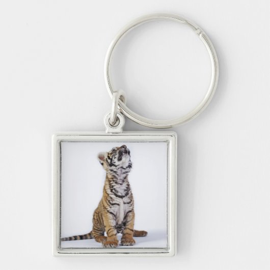 Captive, Zuid-Afrika 2 Sleutelhanger (Voorkant)