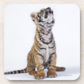 Captive, Zuid-Afrika Drankjes Onderzetter (Voorkant)