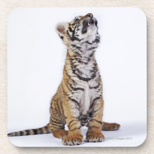 Captive, Zuid-Afrika Drankjes Onderzetter (Voorkant)