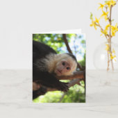 Capuchin Aap Notecard Kaart (Gele Bloem)