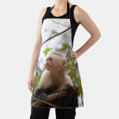 Capuchin, Costa Rica Monkey Schort (Insitu)