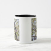 Capuchin, Guanacaste, Costa Rica Mok (Midden)