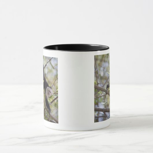 Capuchin, Guanacaste, Costa Rica Mok (Midden)