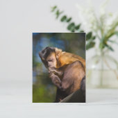 Capuchin Monkey Briefkaart (Staand voorkant)