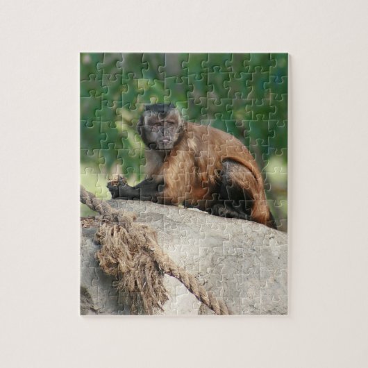 Capuchin Monkey Cute, maar Cranky Legpuzzel (Verticaal)