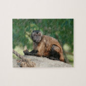 Capuchin Monkey Cute, maar Cranky Legpuzzel (Horizontaal)