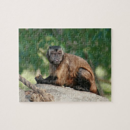 Capuchin Monkey Cute, maar Cranky Legpuzzel (Horizontaal)