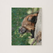 Capuchin Monkey Cute, maar Cranky Legpuzzel (Verticaal)
