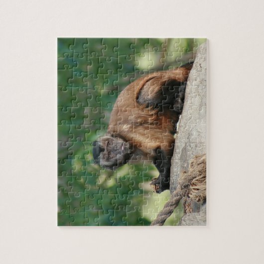 Capuchin Monkey Cute, maar Cranky Legpuzzel (Verticaal)