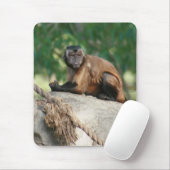 Capuchin Monkey Cute, maar Cranky Muismat (Met muis)