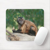 Capuchin Monkey Cute, maar Cranky Muismat (Met muis)