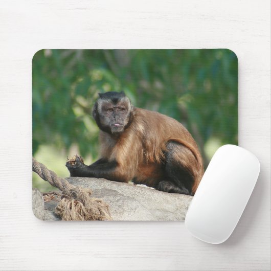 Capuchin Monkey Cute, maar Cranky Muismat (Met muis)