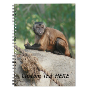 Capuchin Monkey Cute, maar Cranky Notitieboek