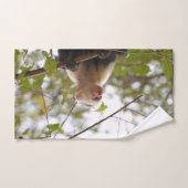 Capuchin Monkey fotografie Bad Handdoek (Handdoek)