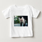 Capuchin Monkey.JPG (Voorkant)