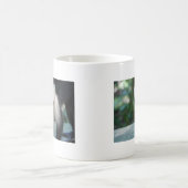 Capuchin Monkey.JPG Koffiemok (Center)