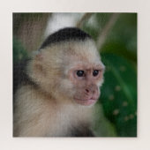 Capuchin monkey legpuzzel (Verticaal)