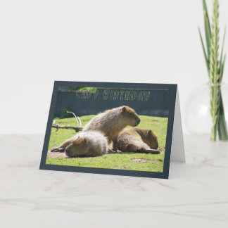 Capy Birthday - Capybara Birthday Wenskaart Kaart
