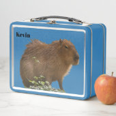 Capybara (In situ)