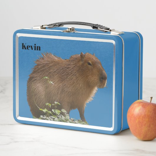 Capybara (In situ)