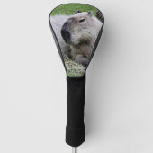 capybara 07 golfheadcover (Voorkant)