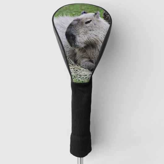 capybara 07 golfheadcover (Voorkant)