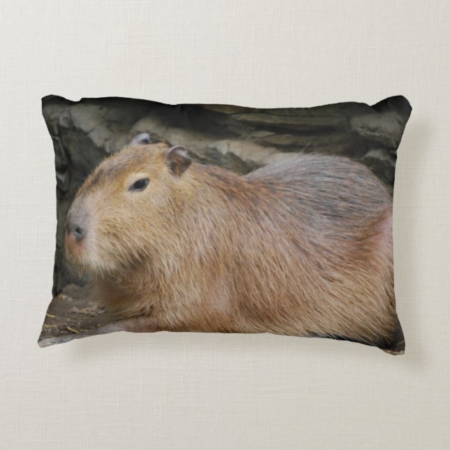 capybara-7 decoratief kussen (Achterkant)